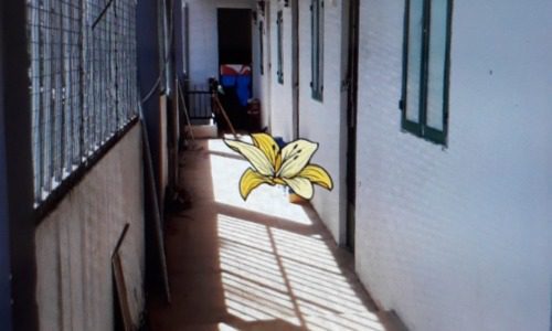 CAM KẾT RẺ NHẤT Q2!!! NHÀ 1 SẸC BÌNH TRƯNG TÂY, KẸT TIỀN BÁN GẤP TRẢ NỢ!!!!