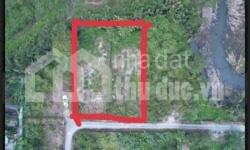 GIÁ CẠN LỜI!!!! ĐẤT GẦN UBND LONG PHƯỚC CẦN BÁN NHANH GIÁ RẺ HƠN KHU VỰC!!!!!
