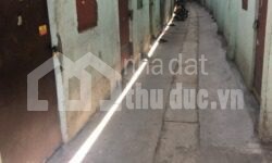 GẤP!!! 2 DÃY NHÀ TRỌ 324M2 THU NHẬP 30/THÁNG CẦN TIỀN BÁN NHANH CHO AI CẦN!!!!