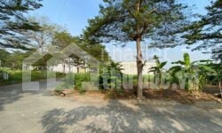 BÁN ĐẤT 473M2 PHÚ HỮU LÔ GÓC 2MT GIÁ TỐT KHU VỰC!!!!