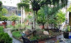 ĐẤT GÓC 2MT ĐƯỜNG GẦN BV LÊ VĂN THỊNH RẤT CẦN BÁN GẤP GIÁ RẺ!!!