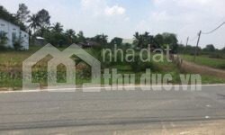 CHO THUÊ 2000M2 ĐẤT MT ĐƯỜNG SỐ 4 LONG PHƯỚC QUẬN 9!!!!