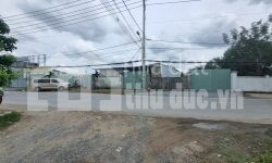 Cho thuê mặt bằng 1000m2 mặt tiền Nguyễn Xiển ngay ngã 3 Lò Lu.