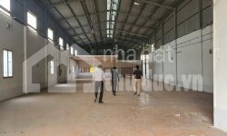CHO THUÊ KHO MT 1000M2 NGAY HOÀNG HỮU NAM – BV UNG BỨU