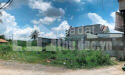 ĐẤT SẠCH 732M2 1 SẸC NGUYỄN THỊ ĐỊNH CẦN TIỀN BÁN RẺ!!!