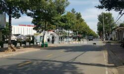 ĐẤT ĐẸP MT 502M2 HIỆP THÀNH TP THỦ DẦU MỘT CẦN BÁN GẤP