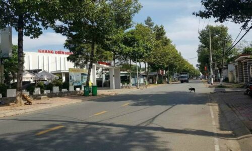 ĐẤT ĐẸP MT 502M2 HIỆP THÀNH TP THỦ DẦU MỘT CẦN BÁN GẤP