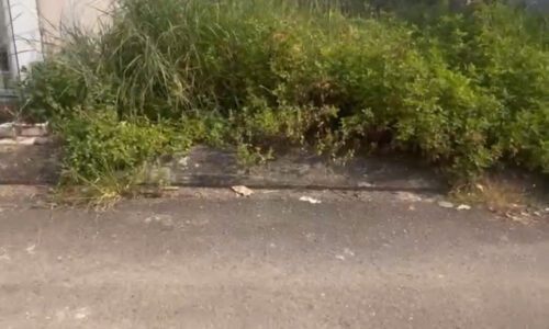 Đất 52 m2 tiềm năng tăng giá tại nga 3 Long Thuận Trường Thạnh Q9